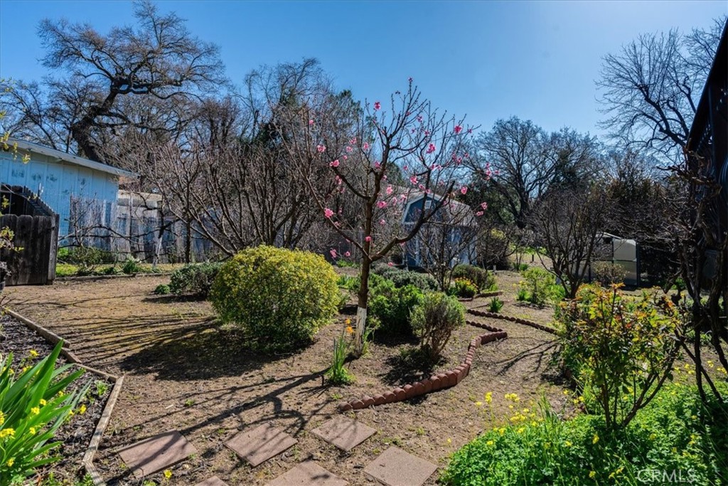 9305 Santa Lucia Road Atascadero, CA 93422 - Photo 27 of 41 a view of a backyard