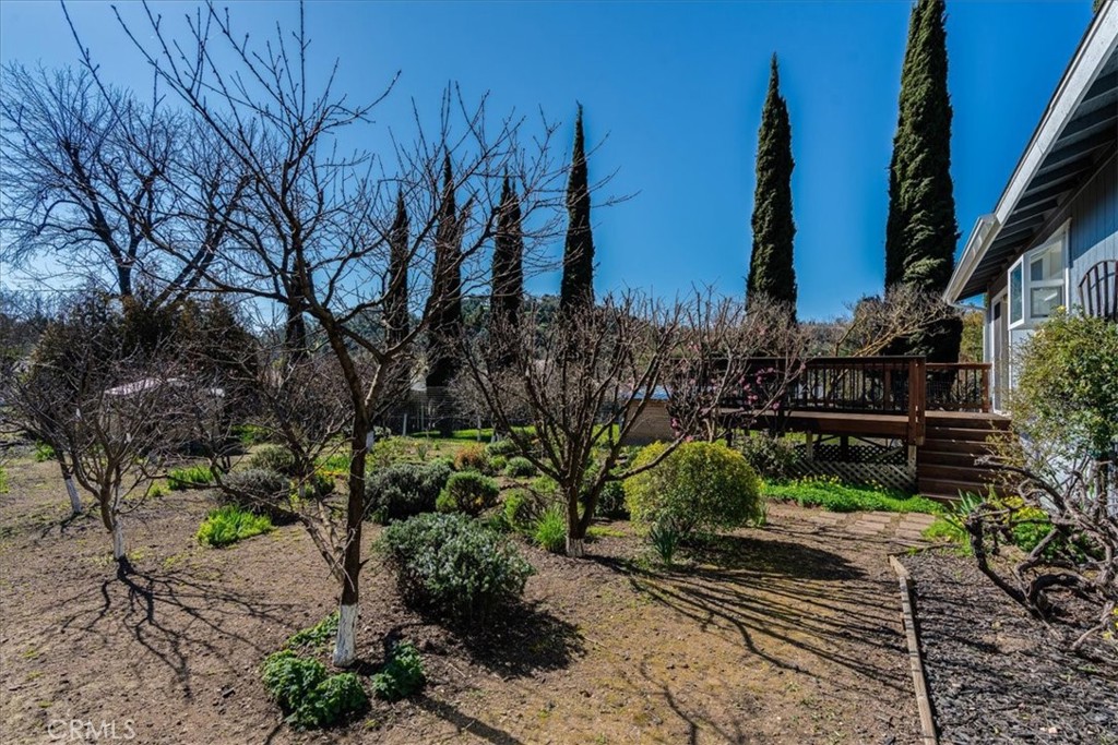 9305 Santa Lucia Road Atascadero, CA 93422 - Photo 29 of 41 a view of a garden