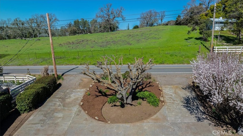 9305 Santa Lucia Road Atascadero, CA 93422 - Photo 37 of 41 a view of a garden with a fountain