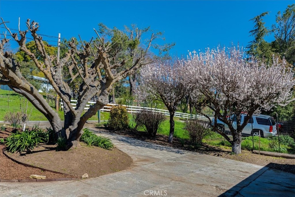 9305 Santa Lucia Road Atascadero, CA 93422 - Photo 39 of 41 a pathway of a house with a yard