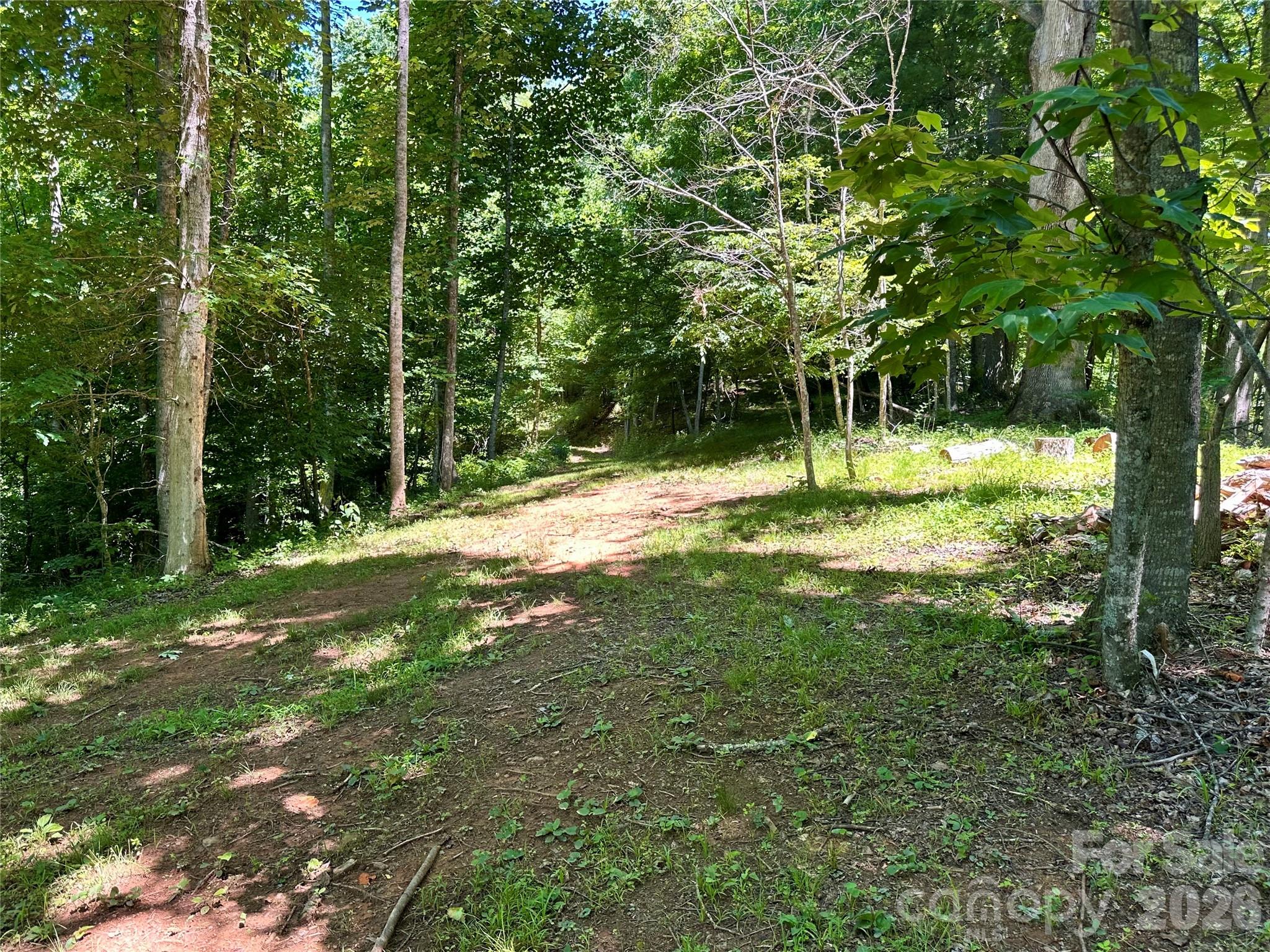 2825 Harrell Hill Road Bakersville, NC 28705 - Photo 43 of 47