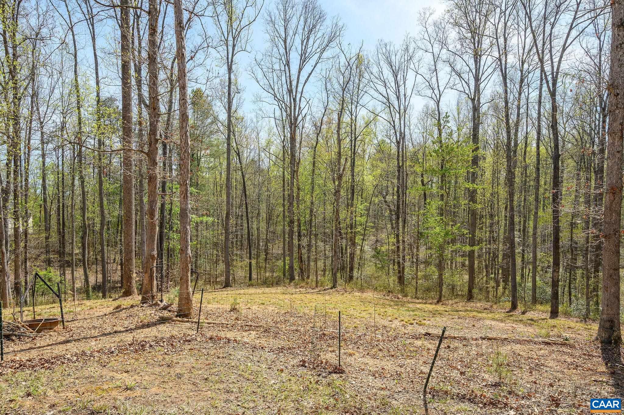 266 Swift Run Road Ruckersville, VA 22968 - Photo 17 of 35