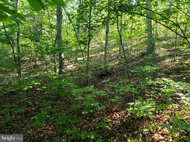 a view of swimming pool with mountain view