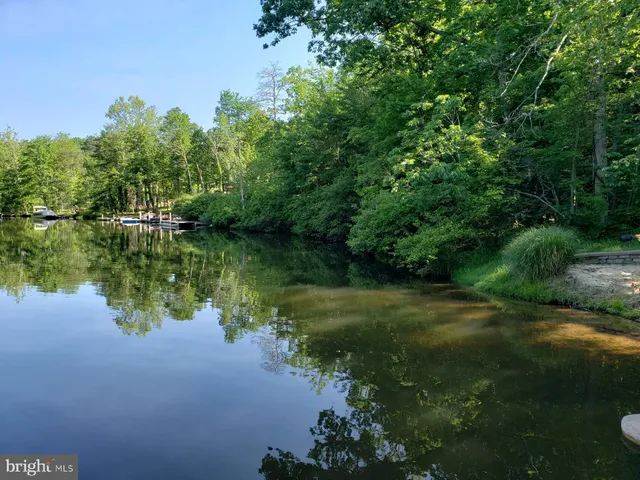 a view of a garden with plants