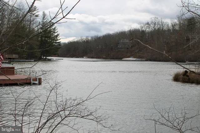 a view of a yard with trees in the background