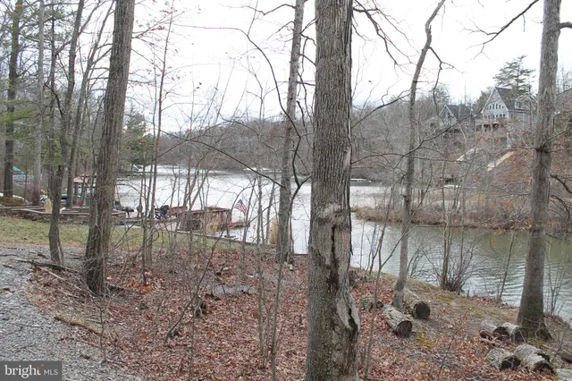 a view of a yard with trees in the background