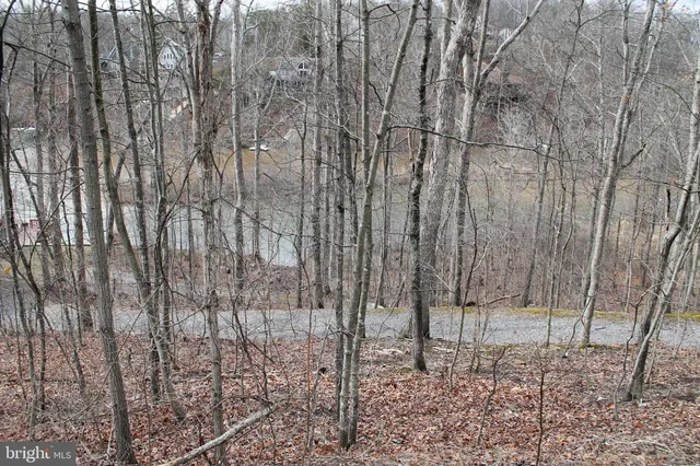 a view of outdoor space and garden