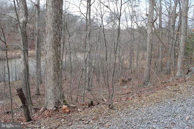a view of a yard with trees