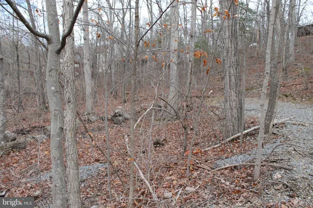 $475,000 | 0 Lakeview Drive, Cross Junction, VA 22625