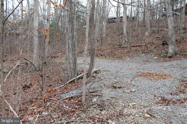 $475,000 | 0 Lakeview Drive, Cross Junction, VA 22625