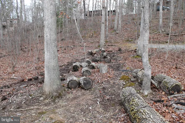 $475,000 | 0 Lakeview Drive, Cross Junction, VA 22625