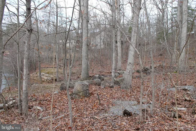 $475,000 | 0 Lakeview Drive, Cross Junction, VA 22625