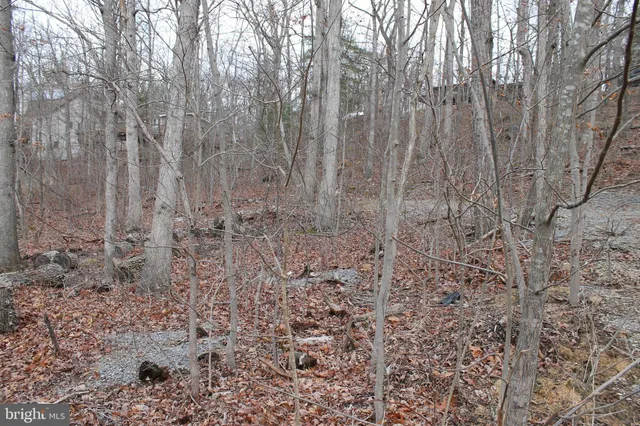 $475,000 | 0 Lakeview Drive, Cross Junction, VA 22625