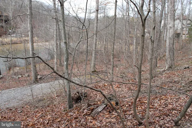 $475,000 | 0 Lakeview Drive, Cross Junction, VA 22625