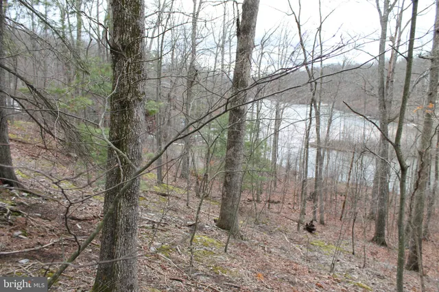 $475,000 | 0 Lakeview Drive, Cross Junction, VA 22625