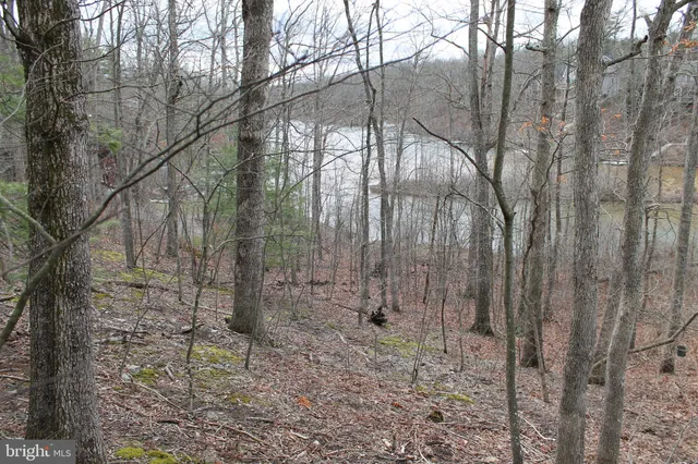 $475,000 | 0 Lakeview Drive, Cross Junction, VA 22625