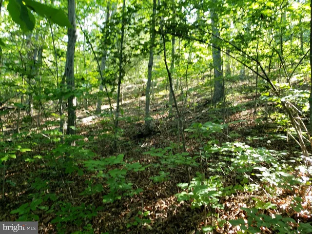 a view of a yard covered with snow