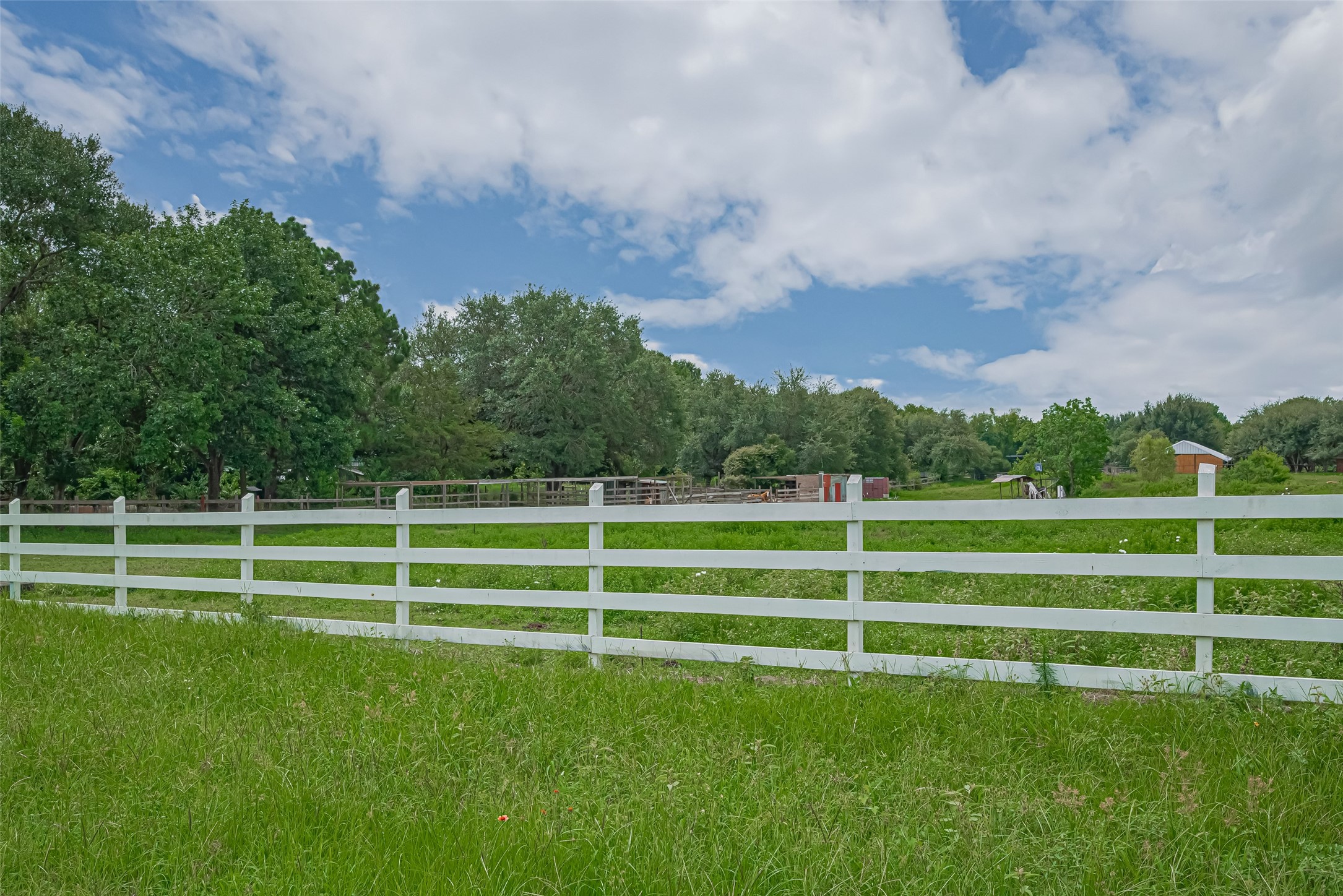 35535 Windmill Road Hempstead, TX 77445 - Photo 13 of 41 This photo shows a spacious, grassy property with a white fence, surrounded by trees for privacy. Ideal for buyers seeking a serene, rural setting.