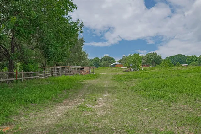 a view of a field with grass and a tree