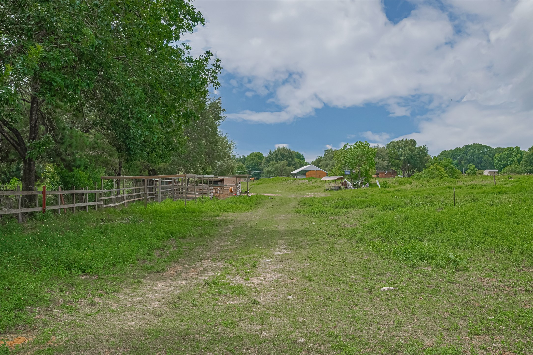 35535 Windmill Road Hempstead, TX 77445 - Photo 15 of 41 Expansive rural property featuring open green fields, a dirt path, and scattered trees. Ideal for those seeking a tranquil, countryside setting with ample space for outdoor activities.