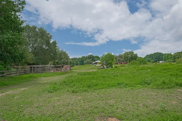 a view of a yard with grass and a houses