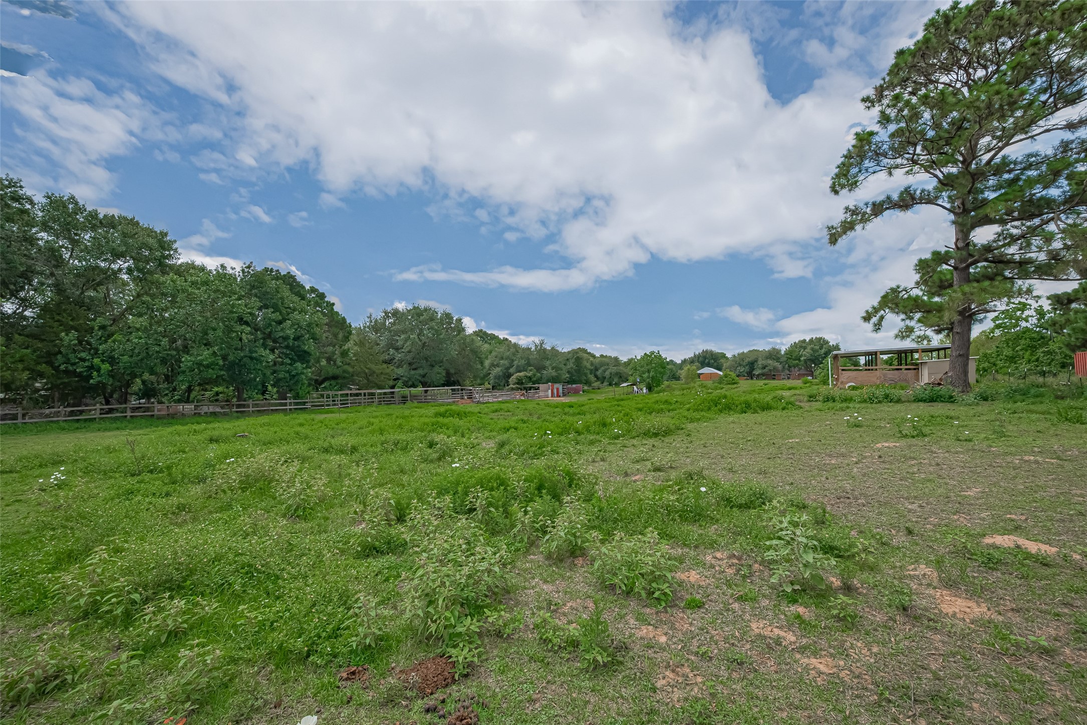 35535 Windmill Road Hempstead, TX 77445 - Photo 21 of 41 Spacious plot of land with lush greenery, bordered by mature trees and a clear blue sky, perfect for building your dream home.