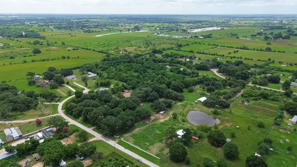 a view of a garden with a swimming pool