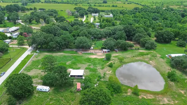 a view of a green yard with large trees