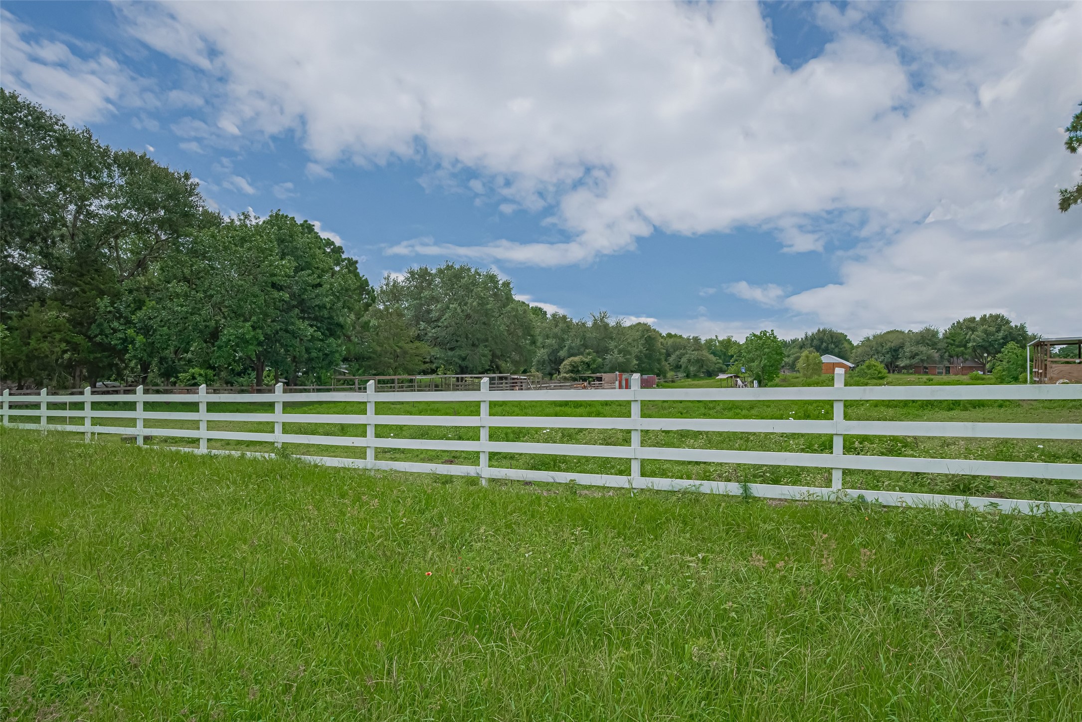 35535 Windmill Road Hempstead, TX 77445 - Photo 10 of 41 This photo showcases a spacious, grassy property with a white wooden fence and mature trees, offering a serene and open setting ideal for a countryside home.
