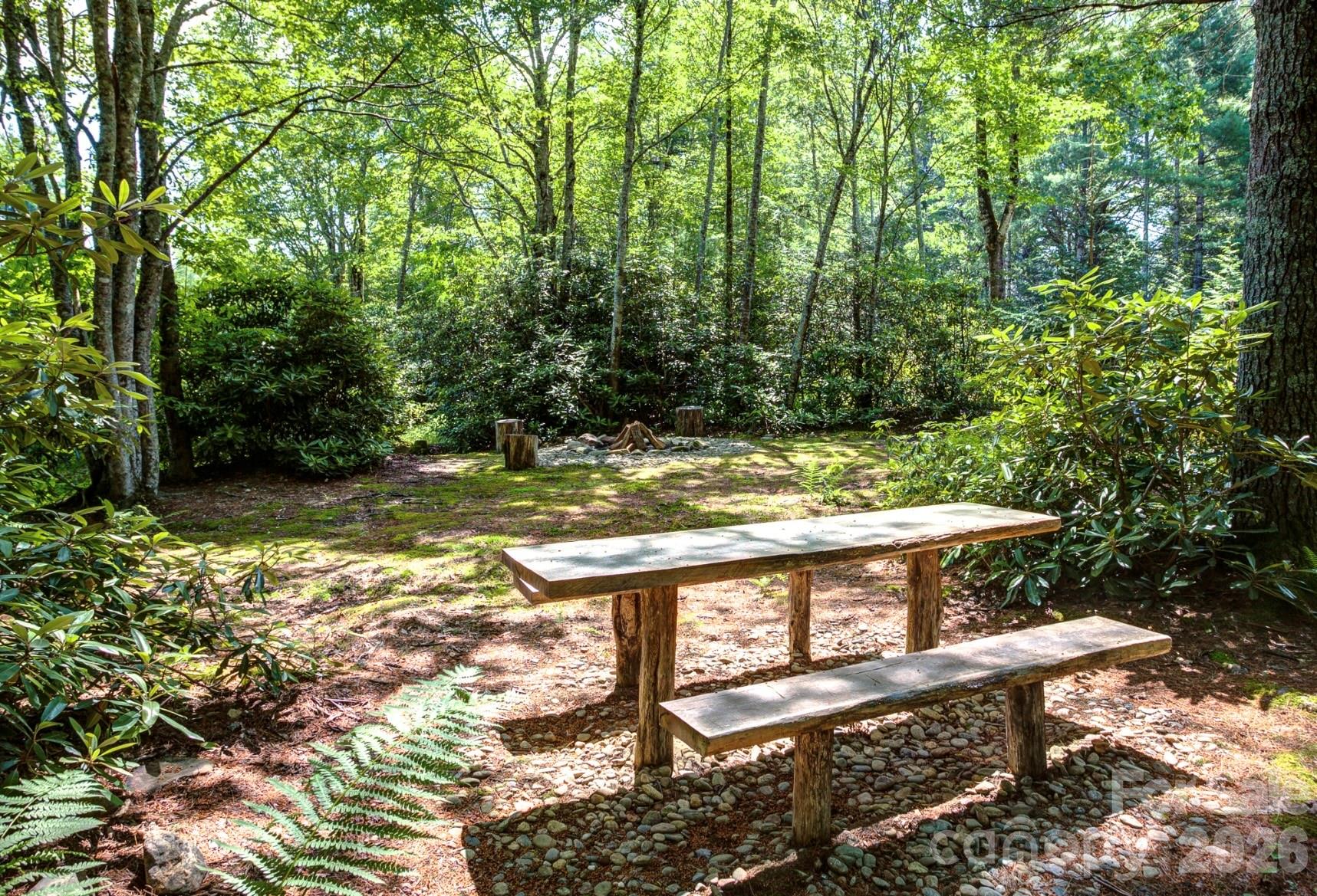 3434 Old Jonas Ridge Road Newland, NC 28657 - Photo 46 of 47