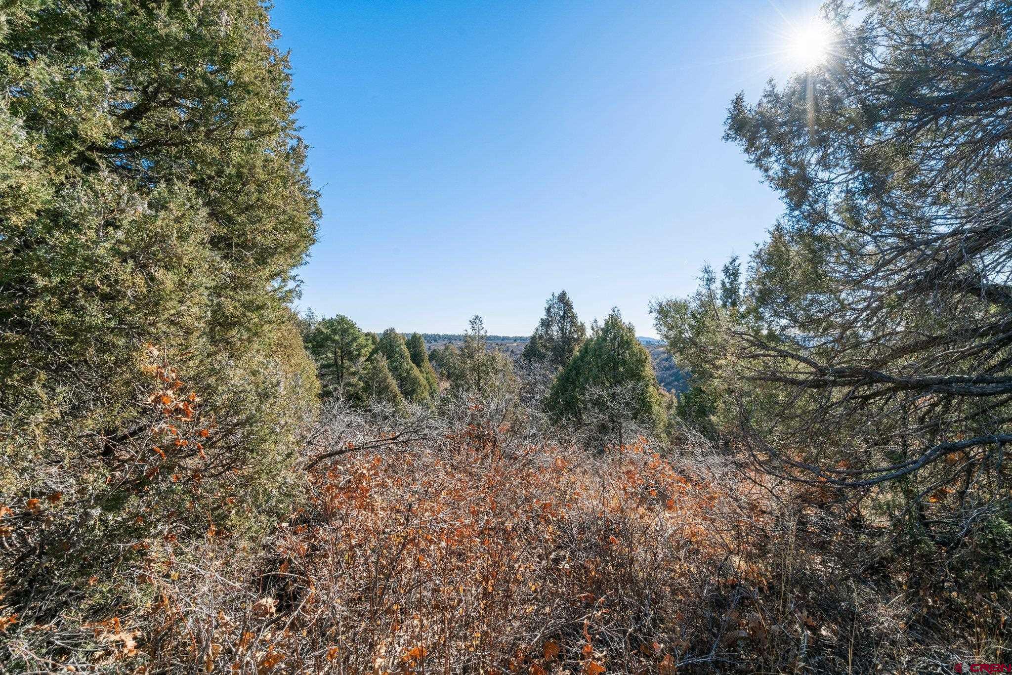 Lot 13 Roberts Ridge Hesperus, CO 81326 - Photo 16 of 27 a view of a forest with trees in the background