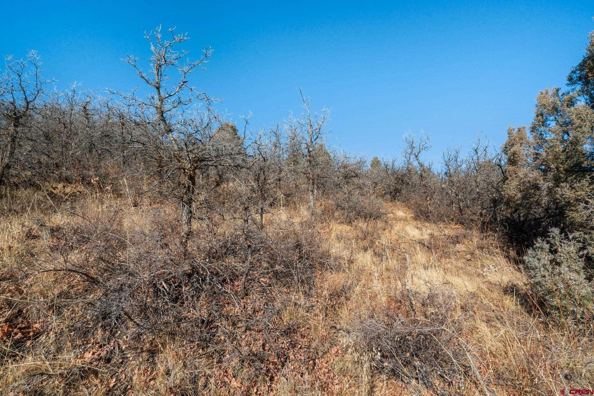 Lot 13 Roberts Ridge Hesperus, CO 81326 - Photo 17 of 27