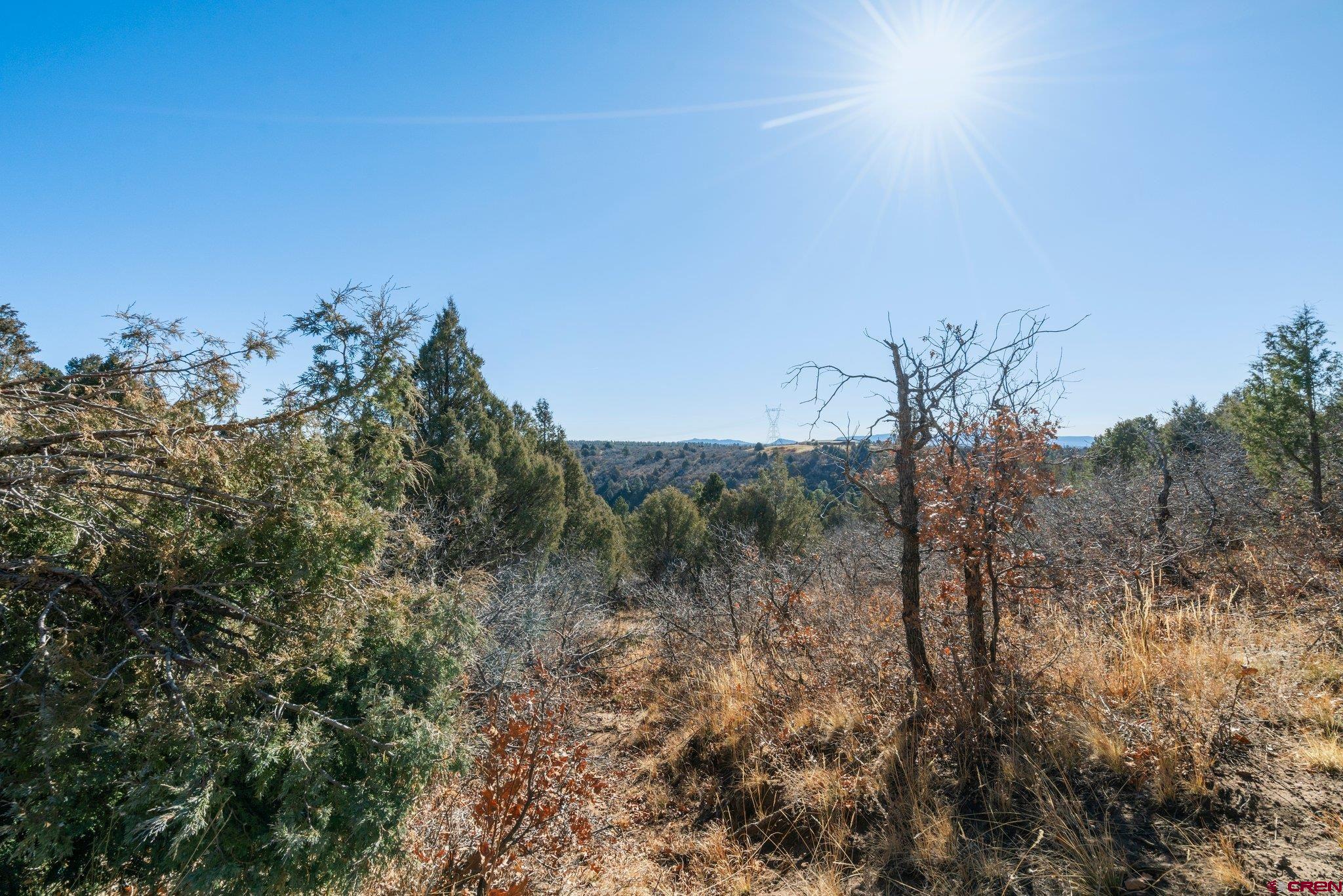 Lot 13 Roberts Ridge Hesperus, CO 81326 - Photo 18 of 27 a view of a forest with a tree in the background