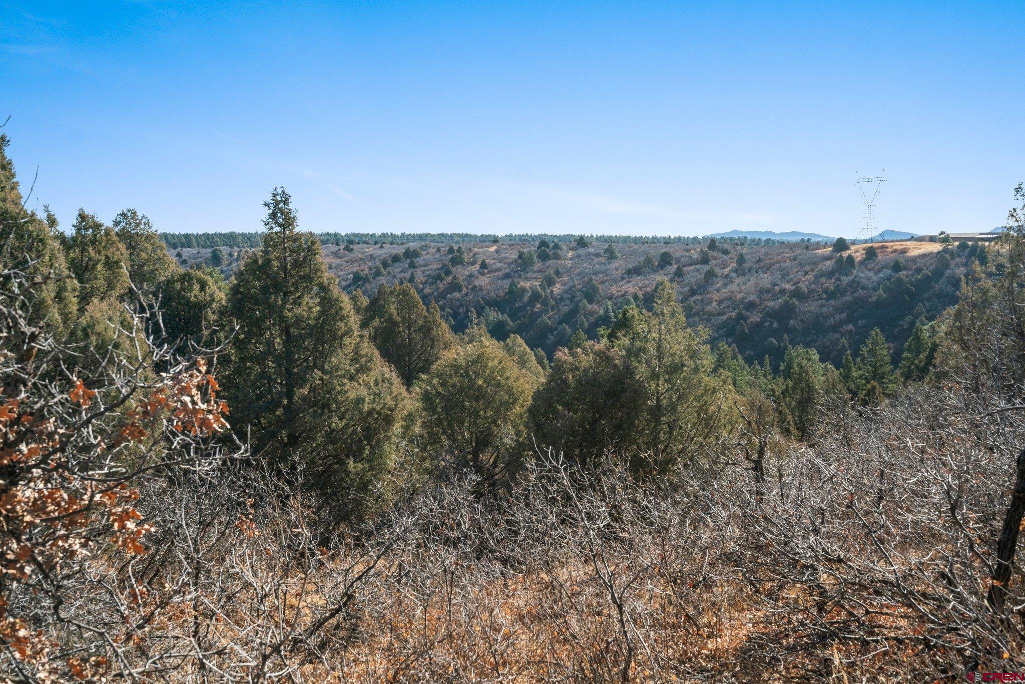 Lot 13 Roberts Ridge Hesperus, CO 81326 - Photo 19 of 27 a view of a city with lush green forest