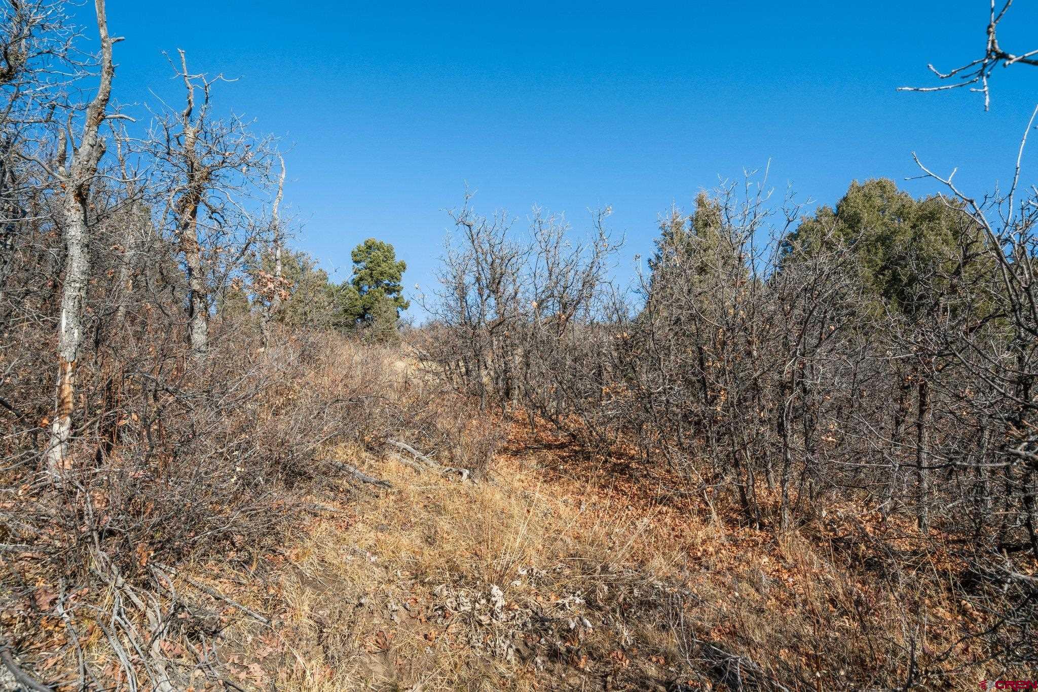 Lot 13 Roberts Ridge Hesperus, CO 81326 - Photo 20 of 27 a view of a field