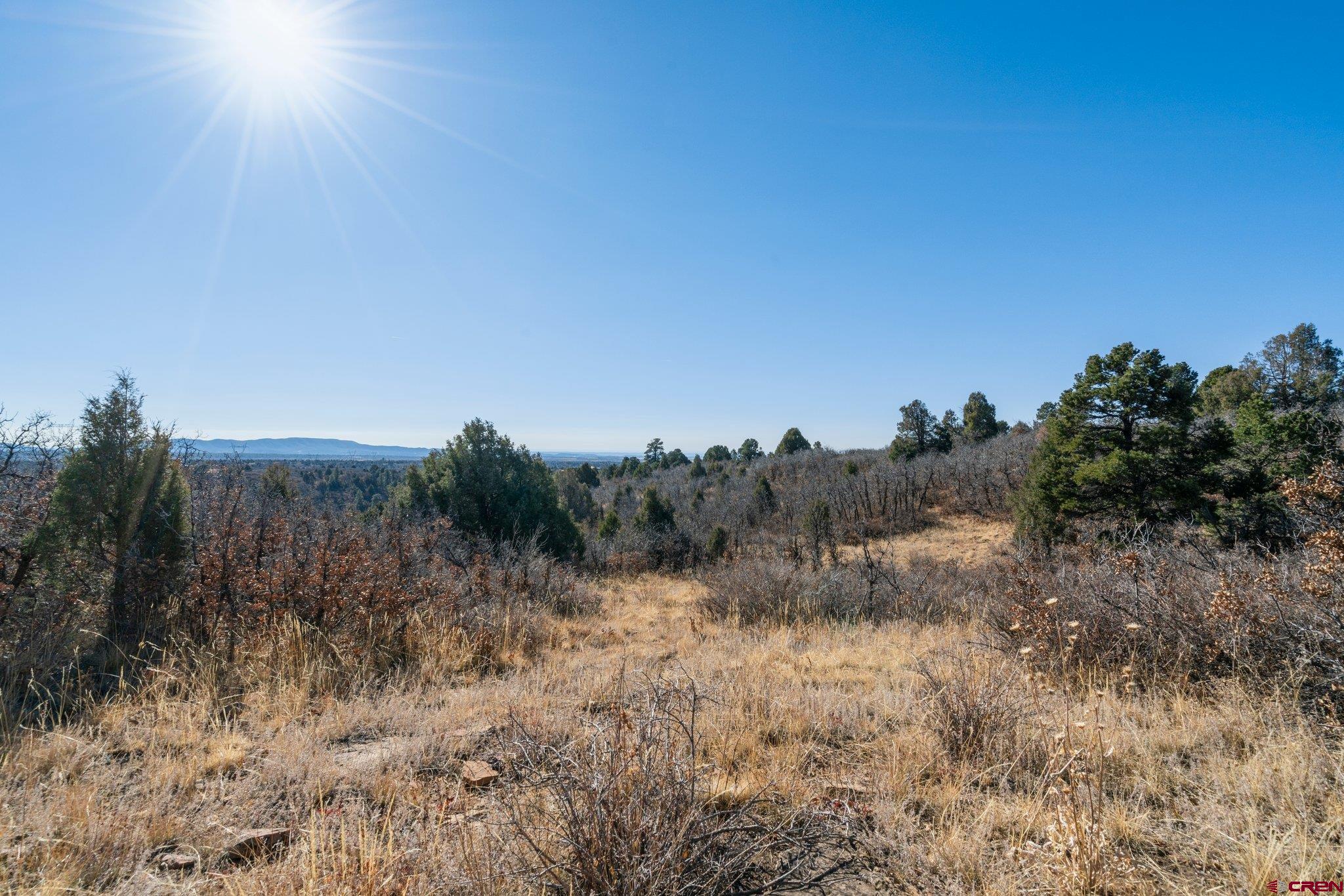 Lot 13 Roberts Ridge Hesperus, CO 81326 - Photo 21 of 27 a view of a dry yard with trees in the background