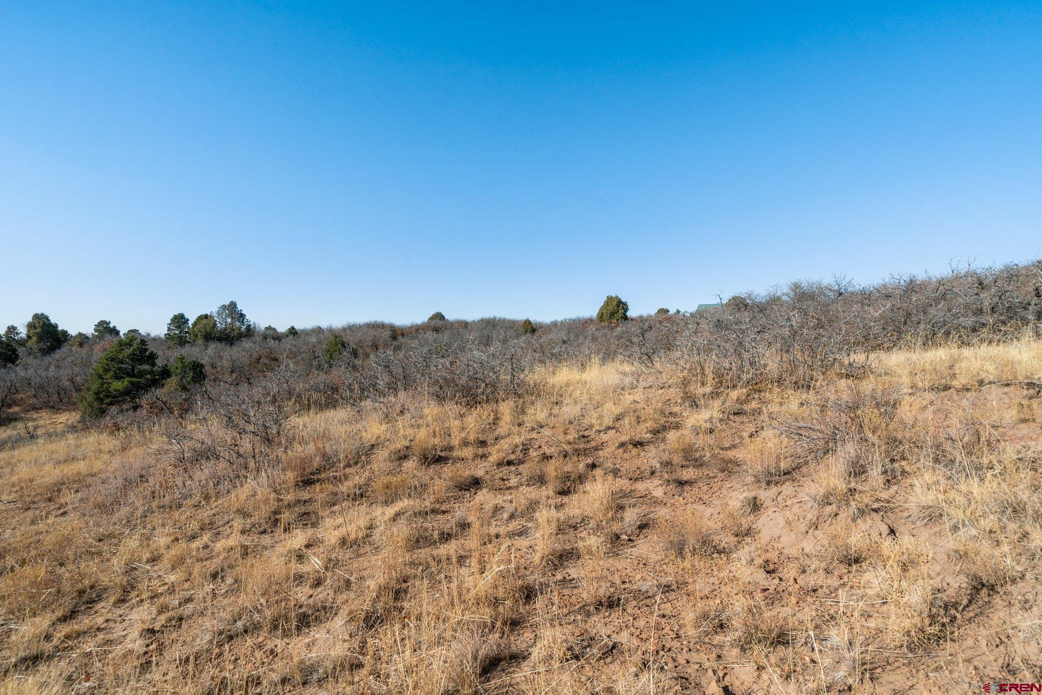 Lot 13 Roberts Ridge Hesperus, CO 81326 - Photo 22 of 27 a view of a dry yard with trees in the background
