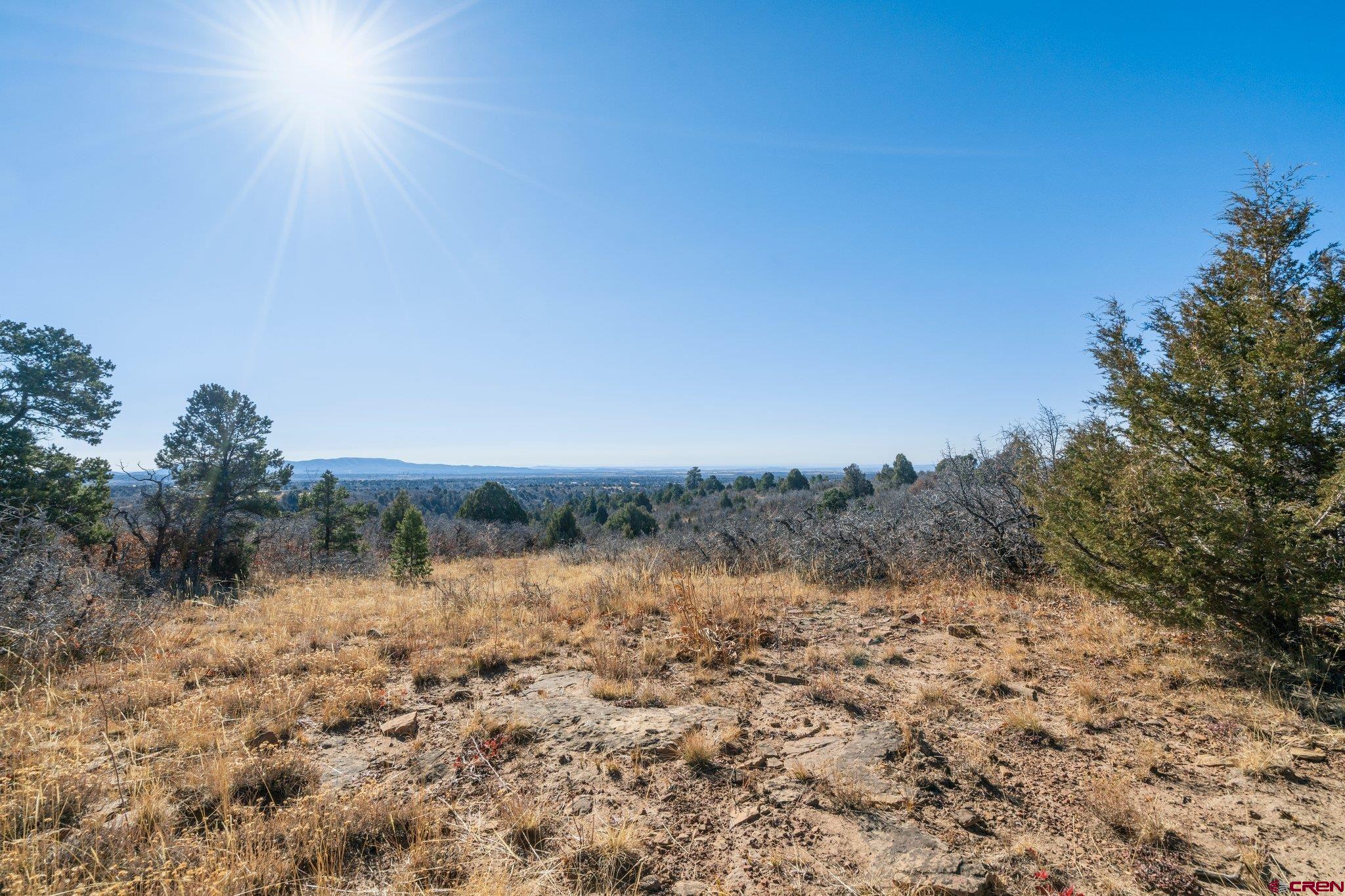 Lot 13 Roberts Ridge Hesperus, CO 81326 - Photo 23 of 27 a view of a lake with lots of trees