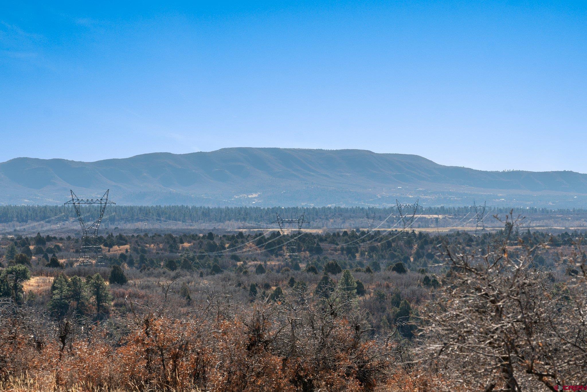 Lot 13 Roberts Ridge Hesperus, CO 81326 - Photo 25 of 27 a view of a mountain range with trees in the background