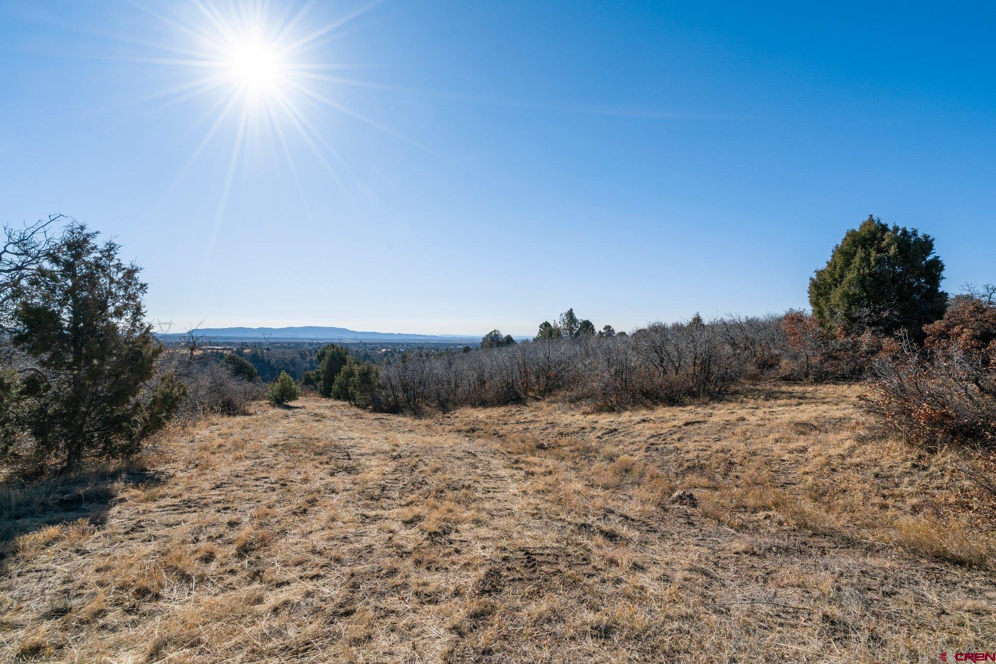 Lot 13 Roberts Ridge Hesperus, CO 81326 - Photo 5 of 27 a view of a dry yard with trees in the background