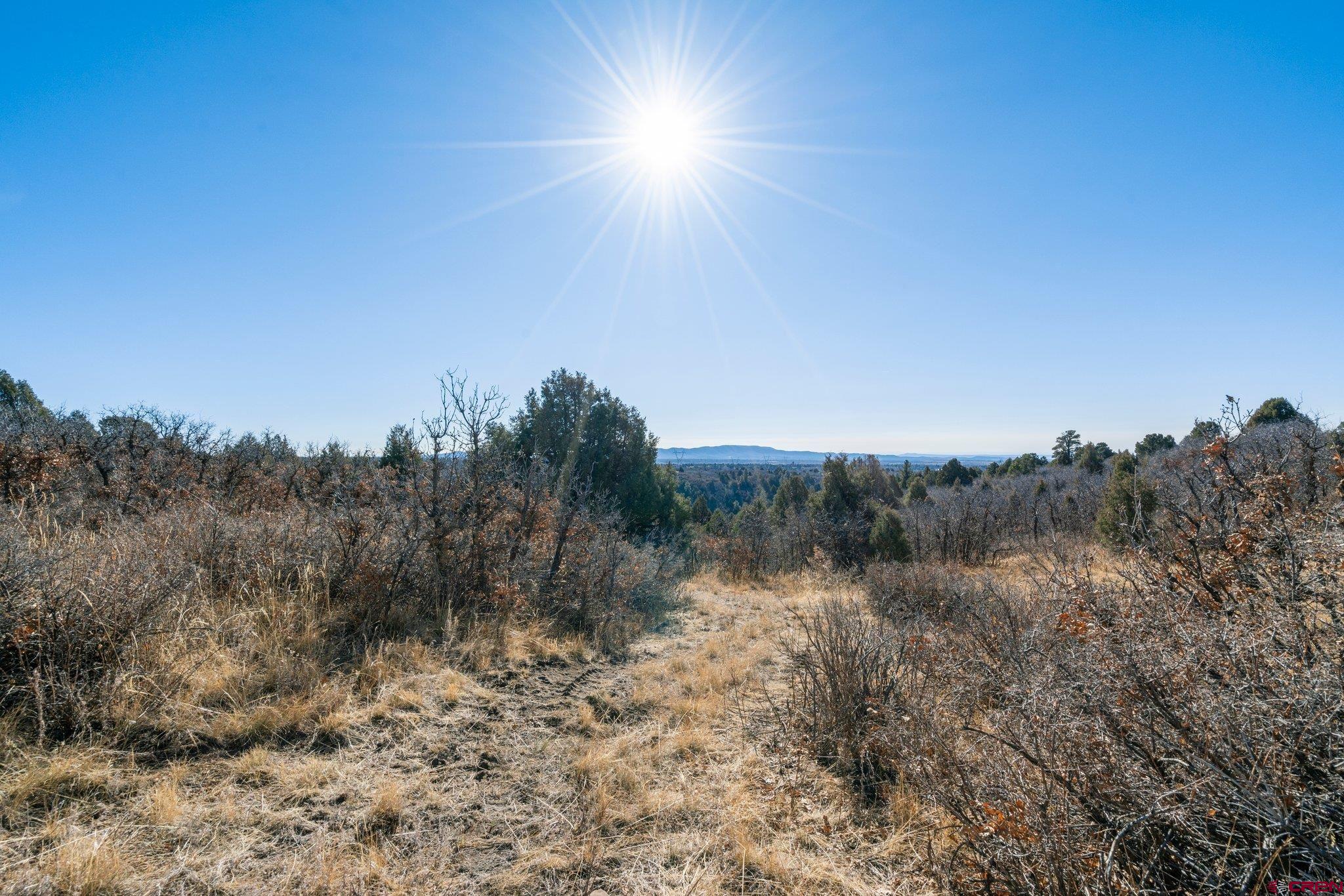 Lot 13 Roberts Ridge Hesperus, CO 81326 - Photo 6 of 27 a view of a yard and mountain view in back