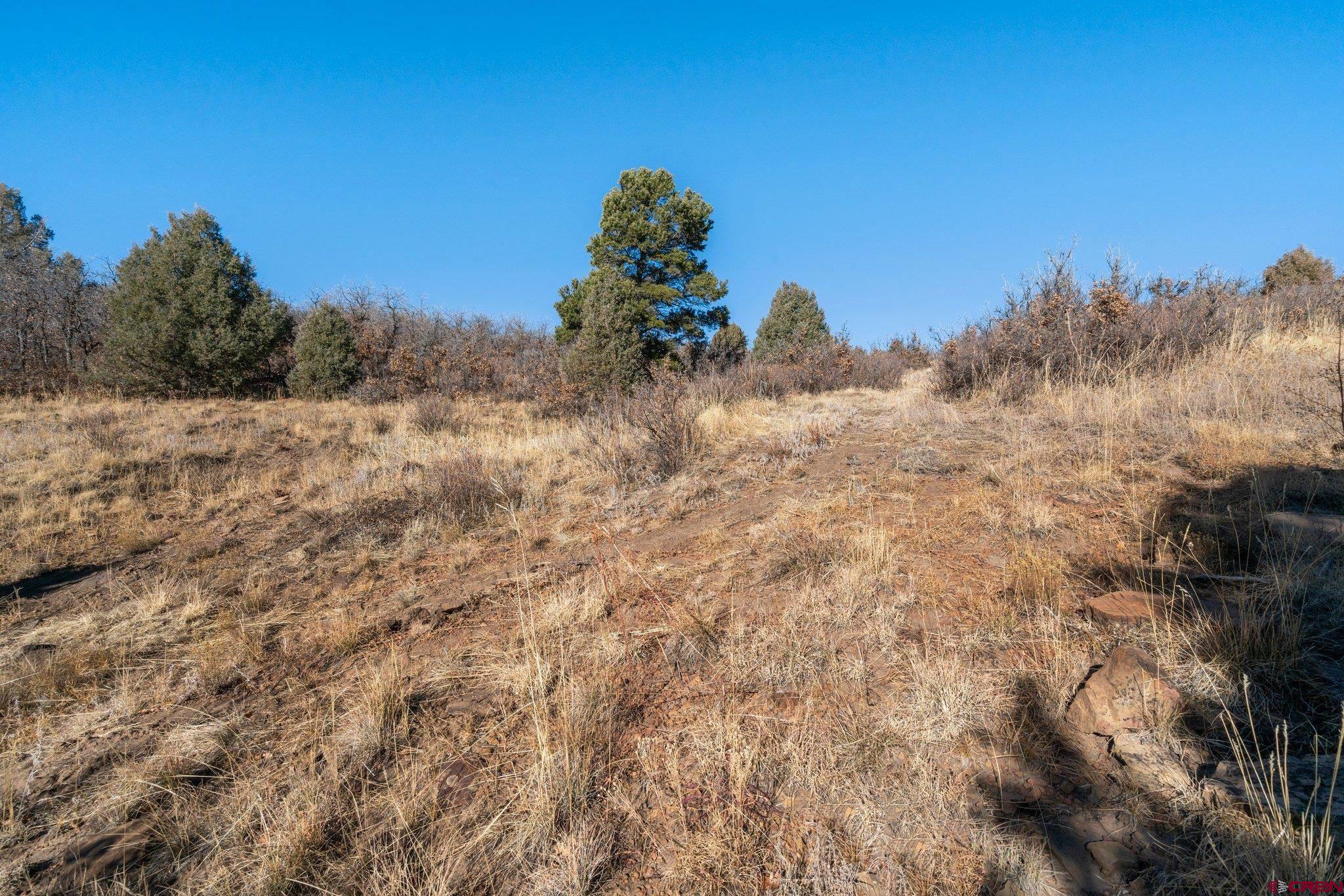 Lot 13 Roberts Ridge Hesperus, CO 81326 - Photo 7 of 27 a backyard of a house
