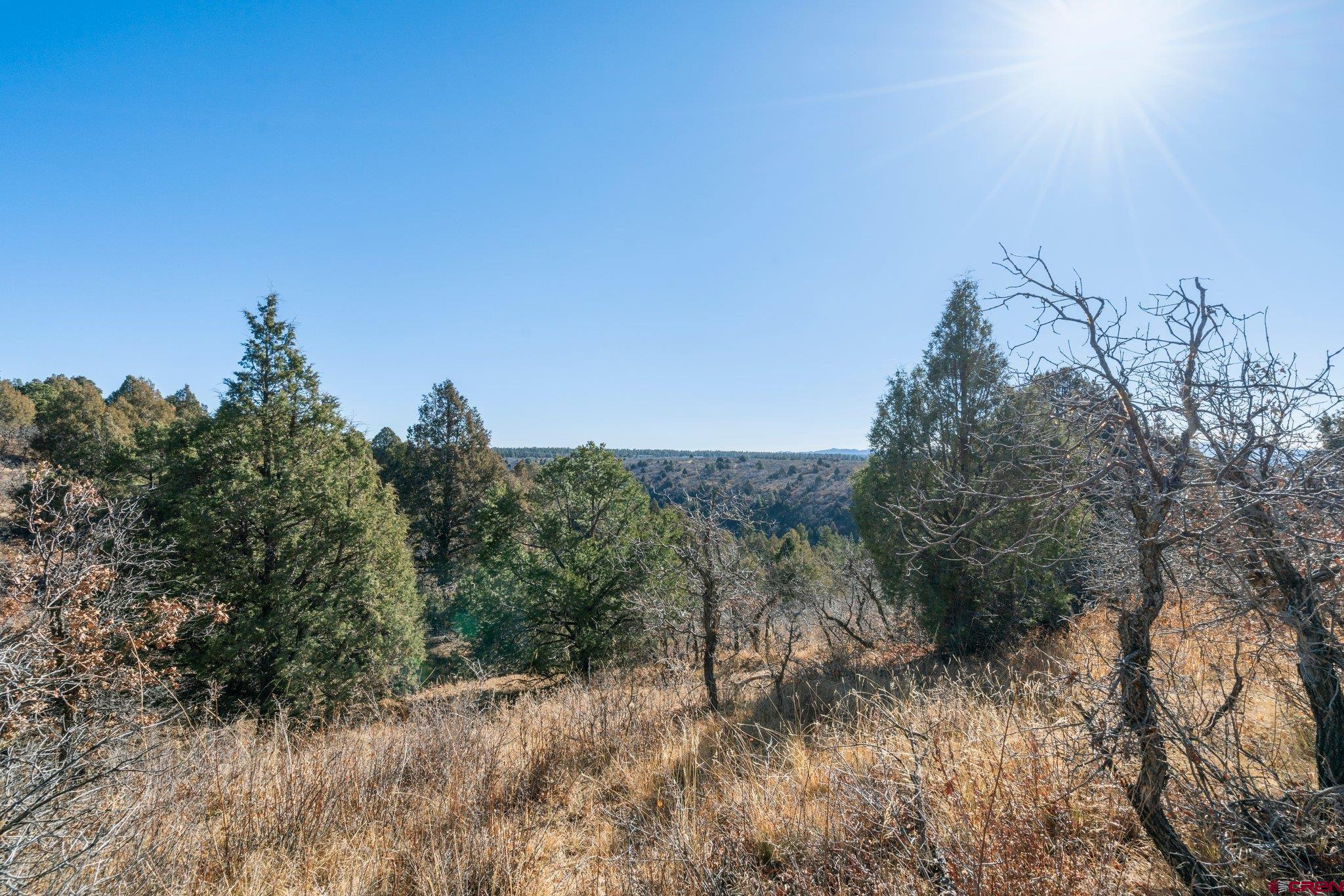 Lot 13 Roberts Ridge Hesperus, CO 81326 - Photo 8 of 27 a view of a dry yard with trees