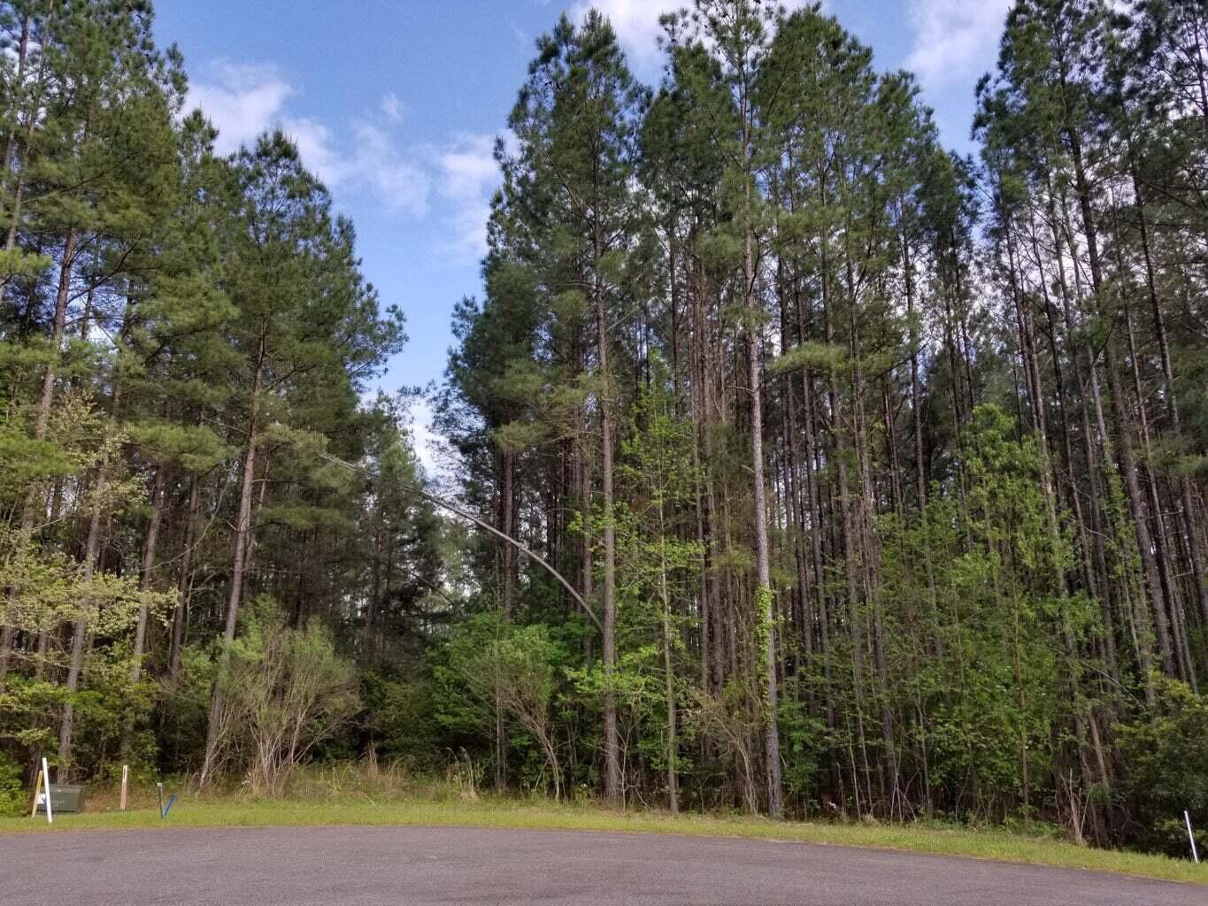 1003 Beak Rush Court Moncks Corner, SC 29461 - Photo 2 of 8 2