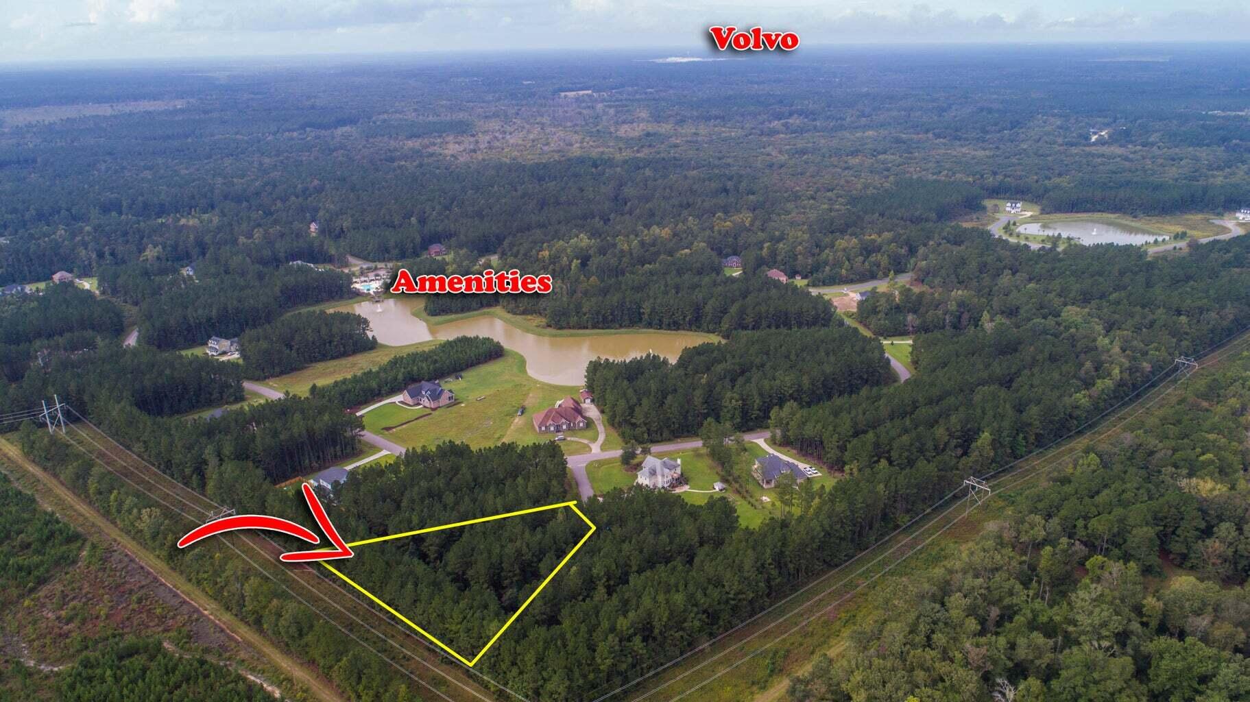 1003 Beak Rush Court Moncks Corner, SC 29461 - Photo 4 of 8 4