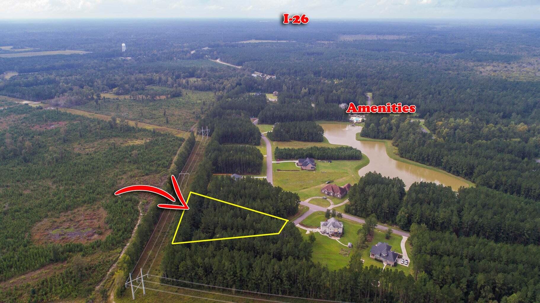 1003 Beak Rush Court Moncks Corner, SC 29461 - Photo 5 of 8 5