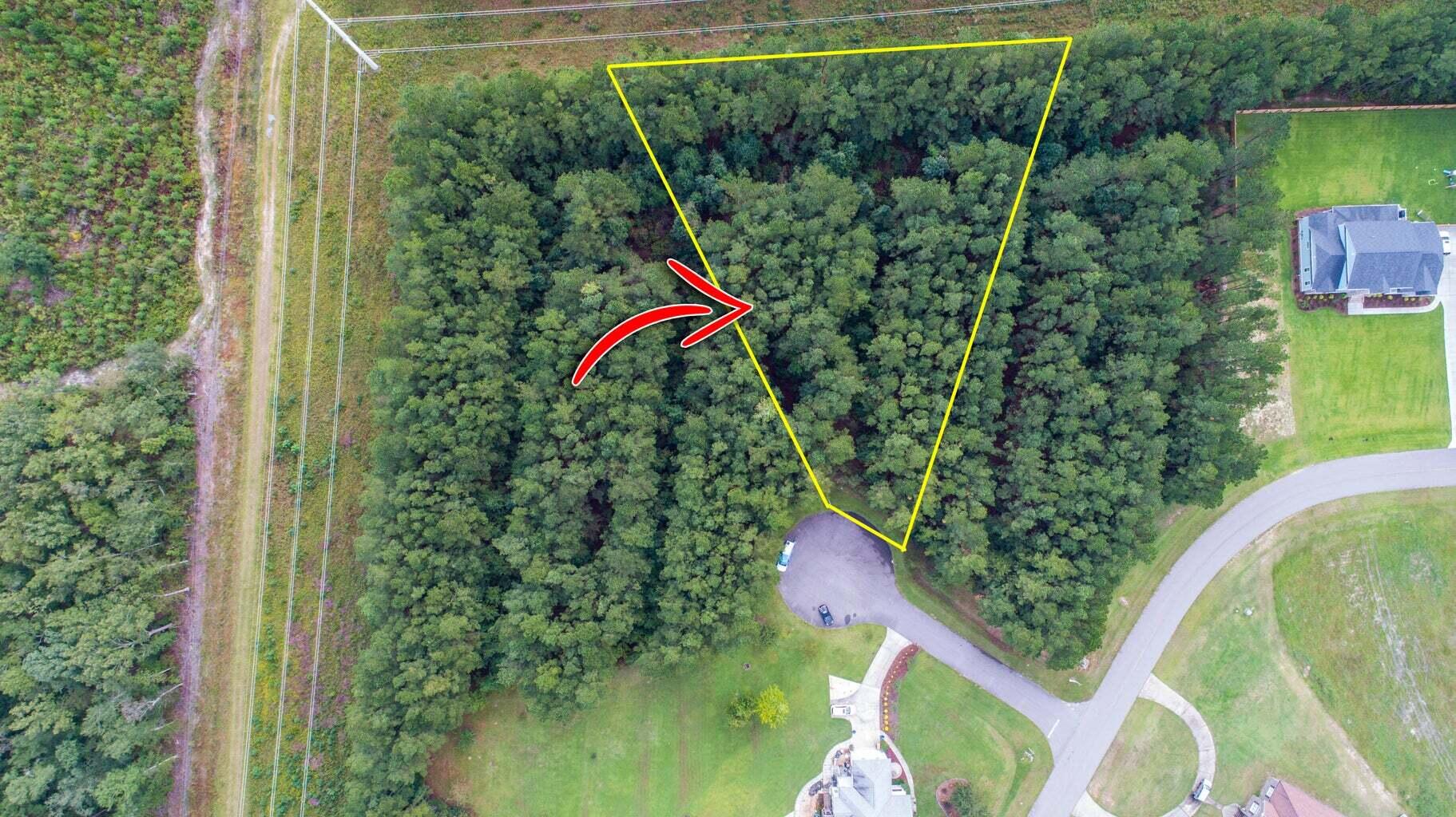 1003 Beak Rush Court Moncks Corner, SC 29461 - Photo 6 of 8 6