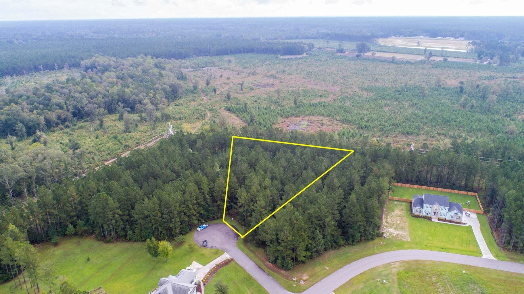 1003 Beak Rush Court Moncks Corner, SC 29461 - Photo 7 of 8 7