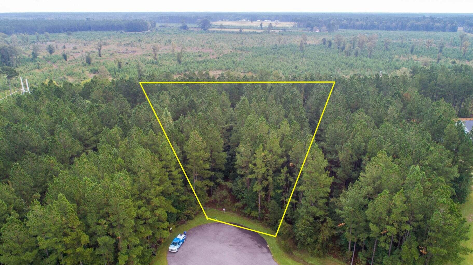 1003 Beak Rush Court Moncks Corner, SC 29461 - Photo 8 of 8 8