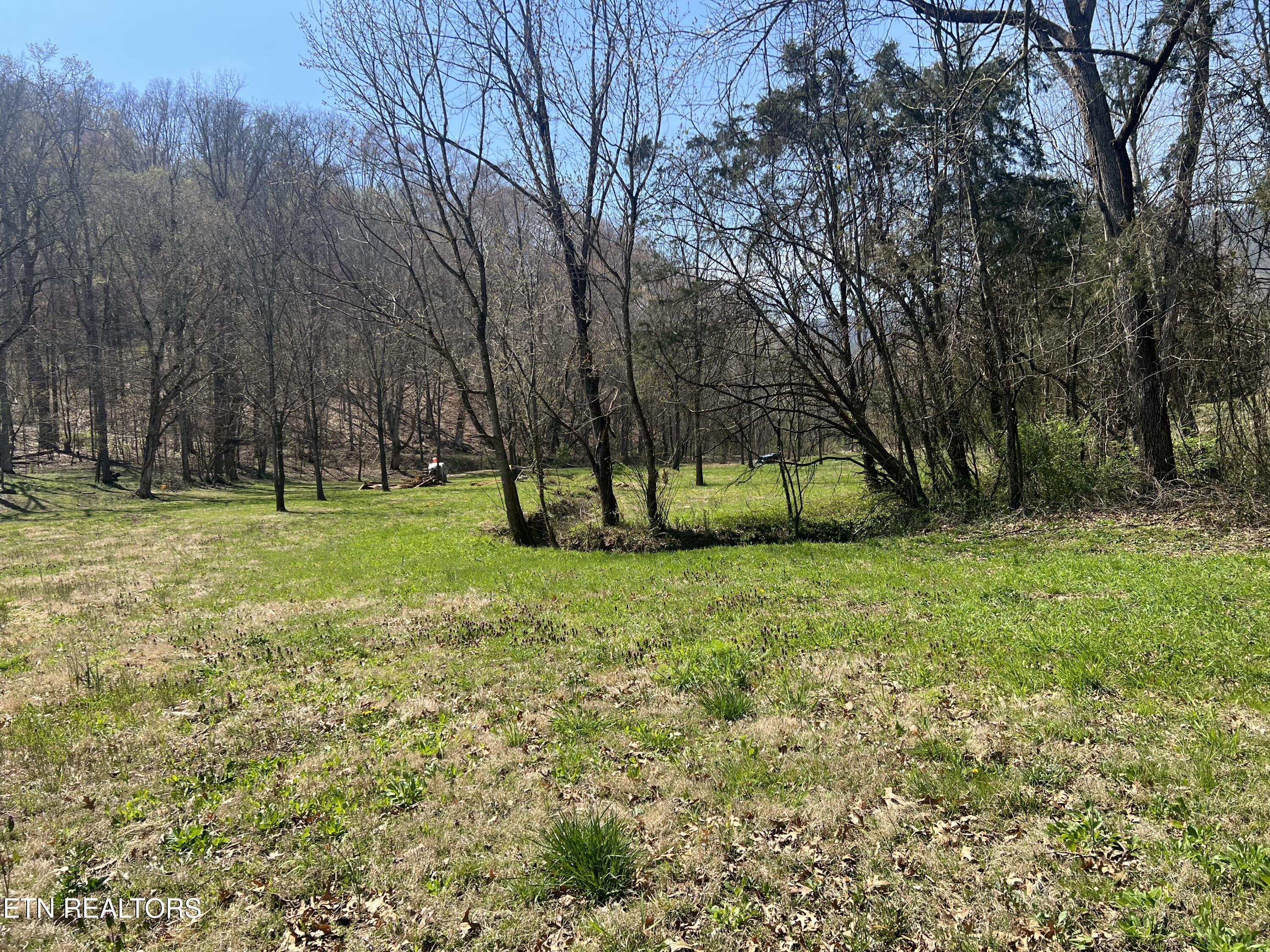5336 Idumea Road Corryton, TN 37721 - Photo 8 of 18 IMG_2934